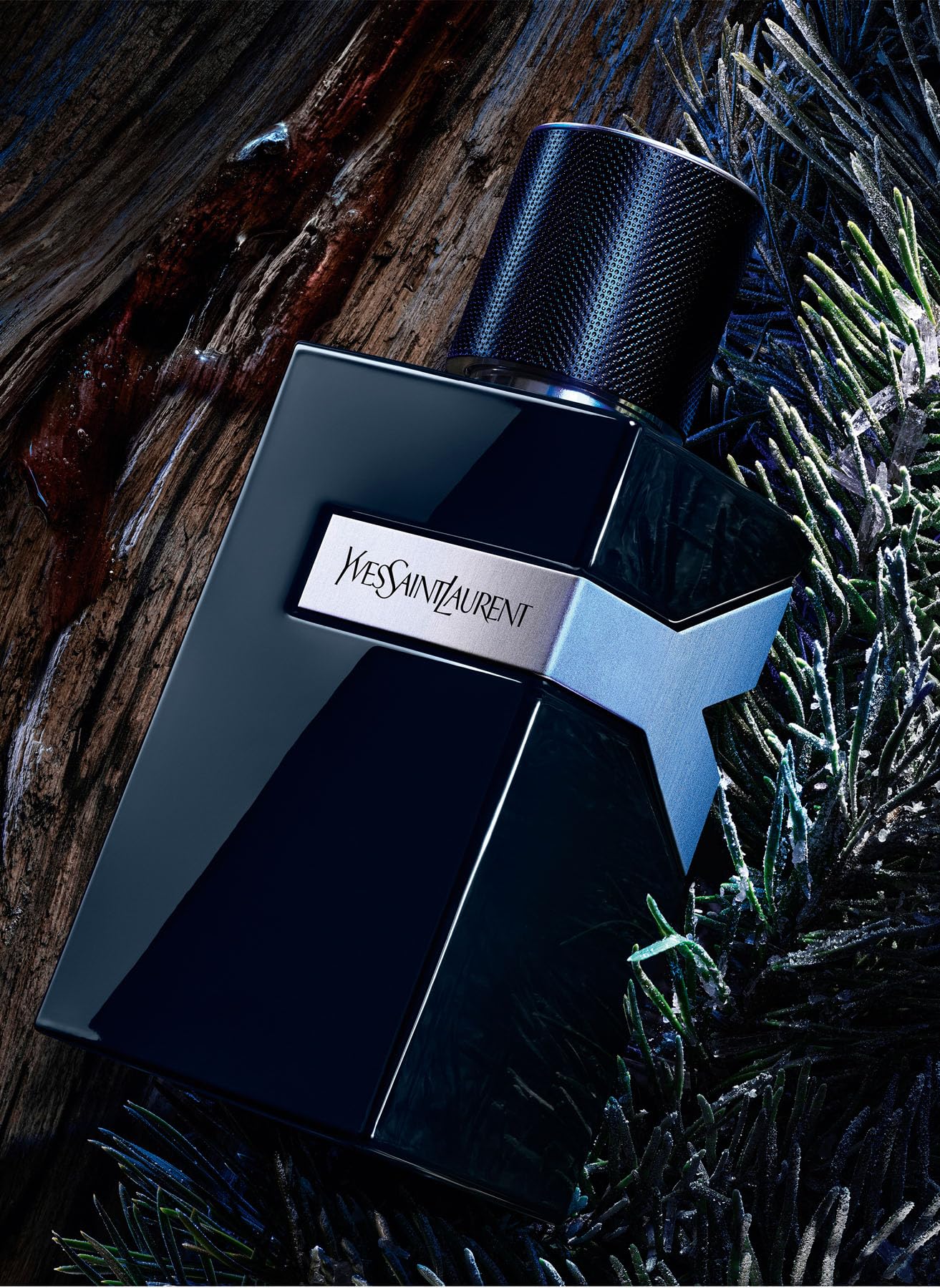 Amazon.com : Yves Saint Laurent Y Le Parfum Eau De Parfum Spray